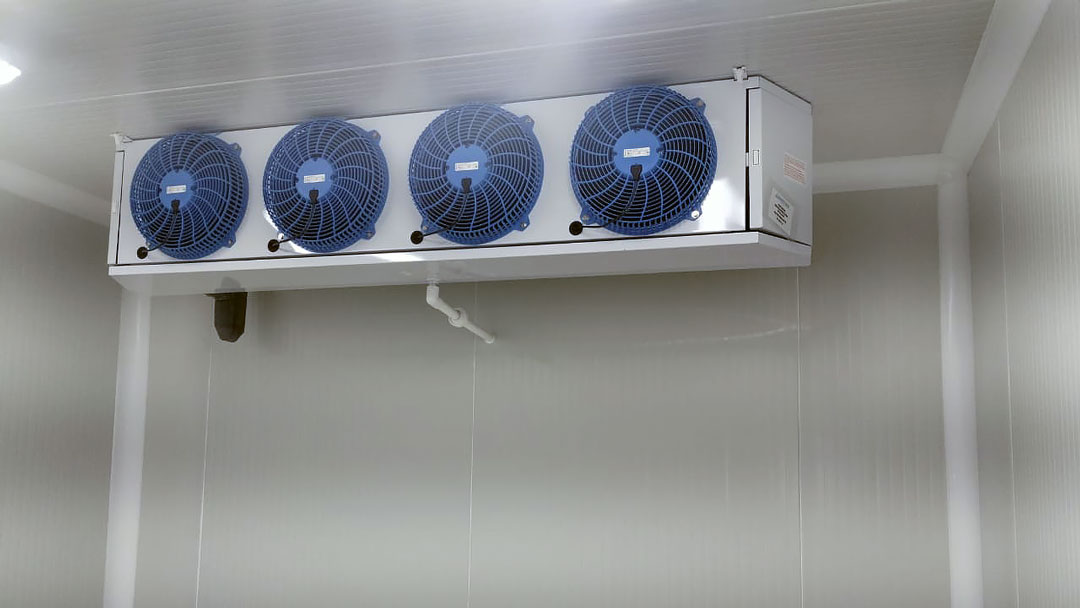 Proyecto de Conversión de Bodega en Cámara de Refrigeración en Mexico
